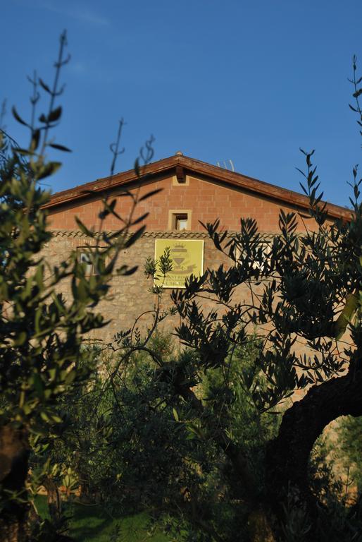 Agriturismo Casale Re Sonnino Εξωτερικό φωτογραφία