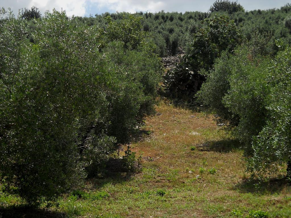 Agriturismo Casale Re Sonnino Δωμάτιο φωτογραφία